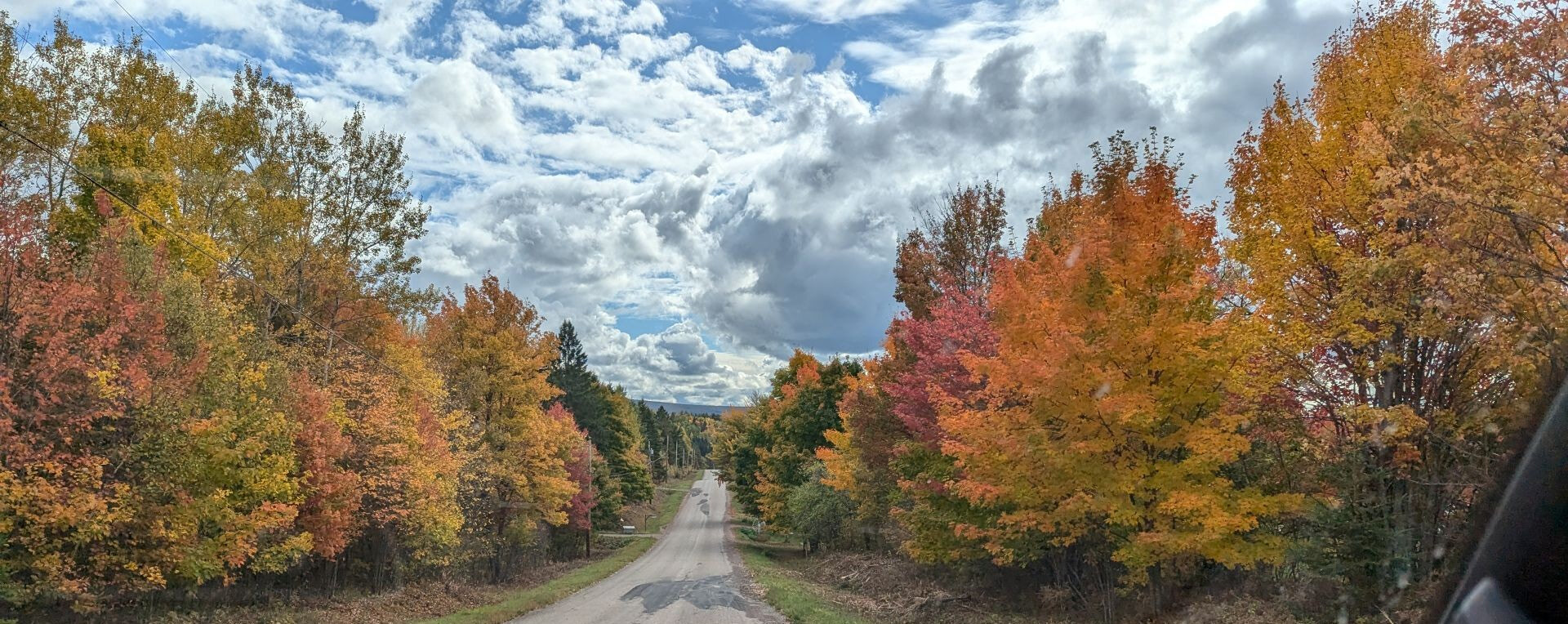 Miscellaneous Collections