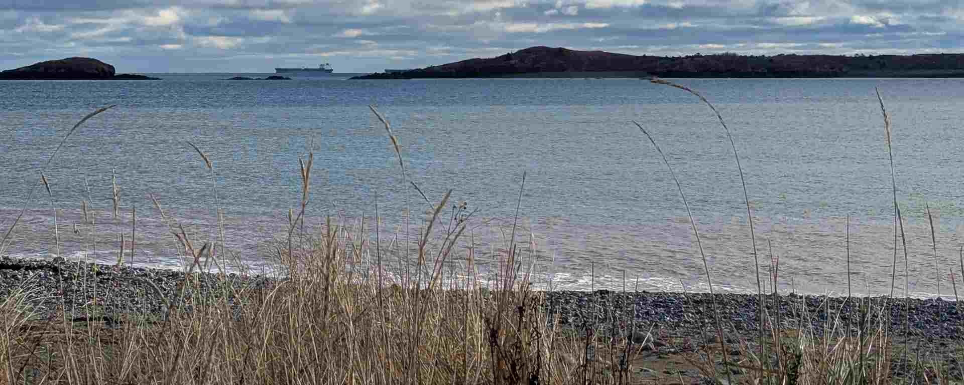 NBGS - Saint John Branch