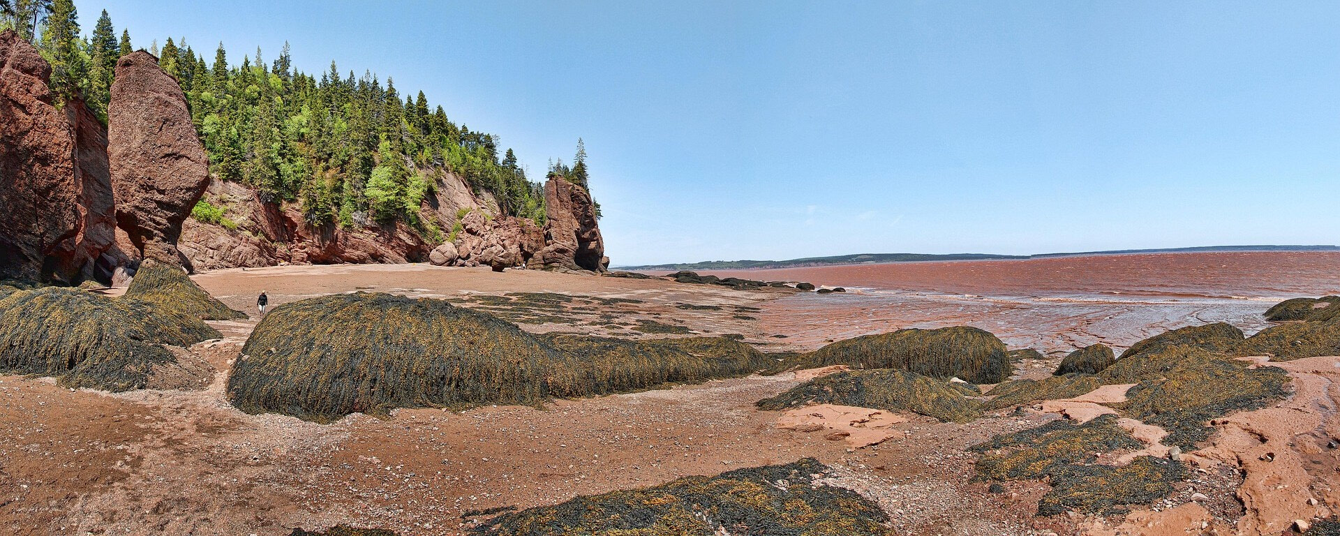 NBGS - Southeastern Branch